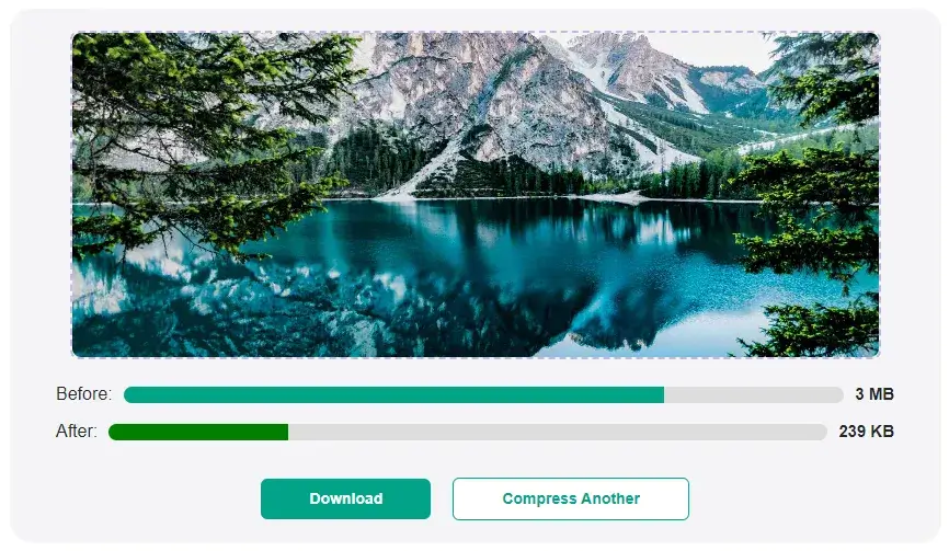 Click on Download button to download the compressed image or click on Compress Another for compressing another image.