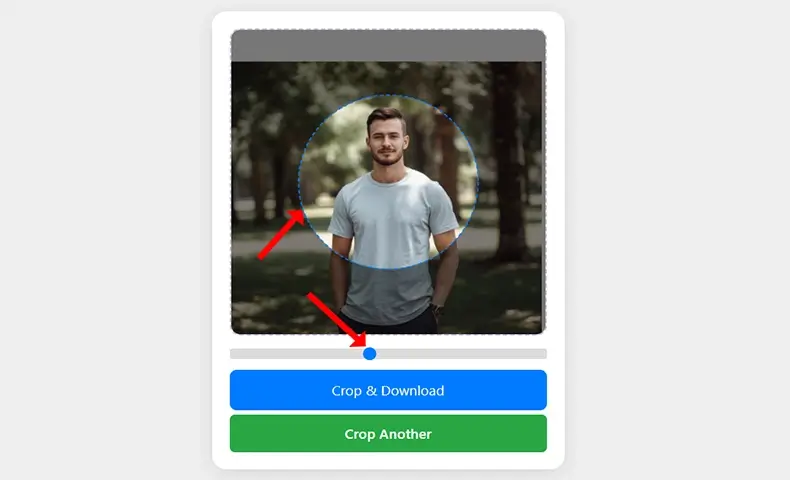 Step 2: Image adjustment in circle